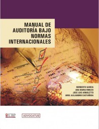 Manual de Auditoria bajo Normas Internac