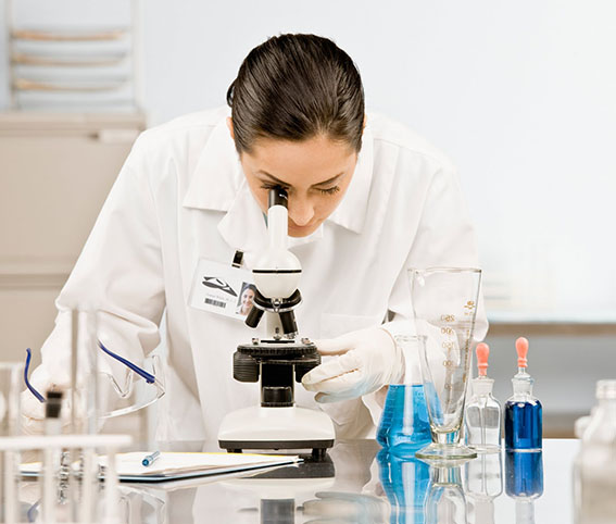 Becas de investigación para docentes