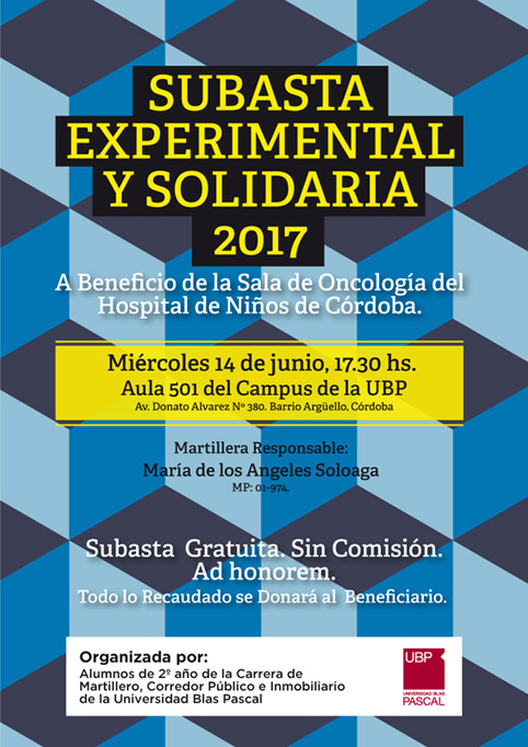 Subasta Experimental y Solidaria