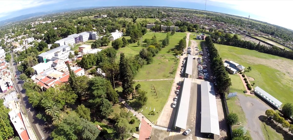 Reforestación en la UBP