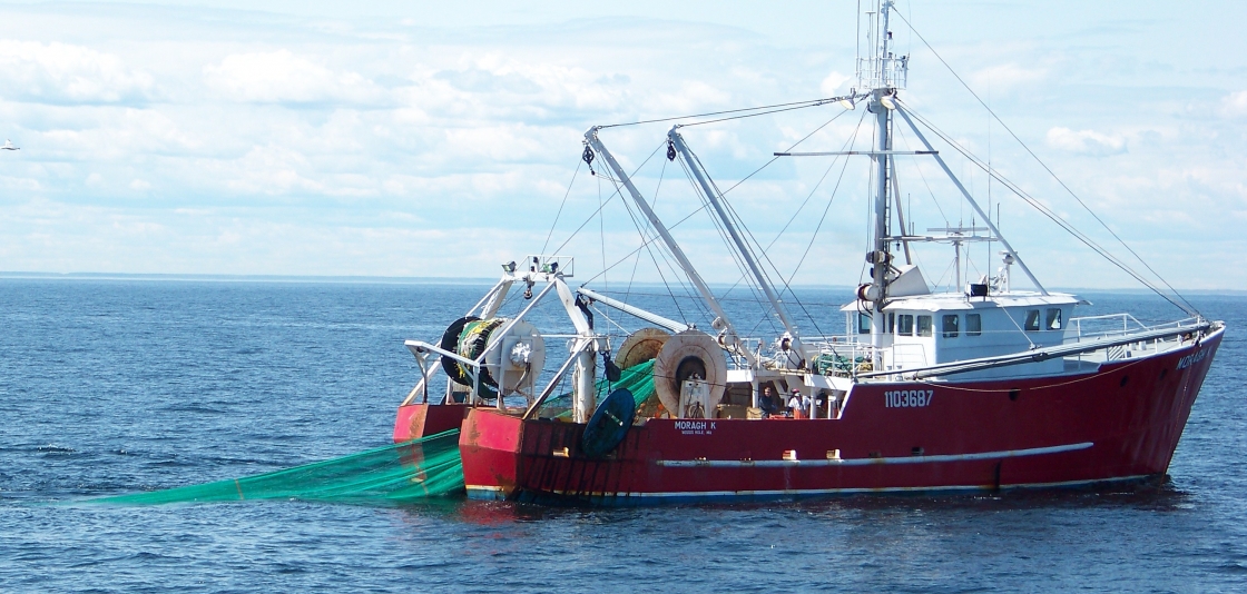 La crisis pesquera argentina