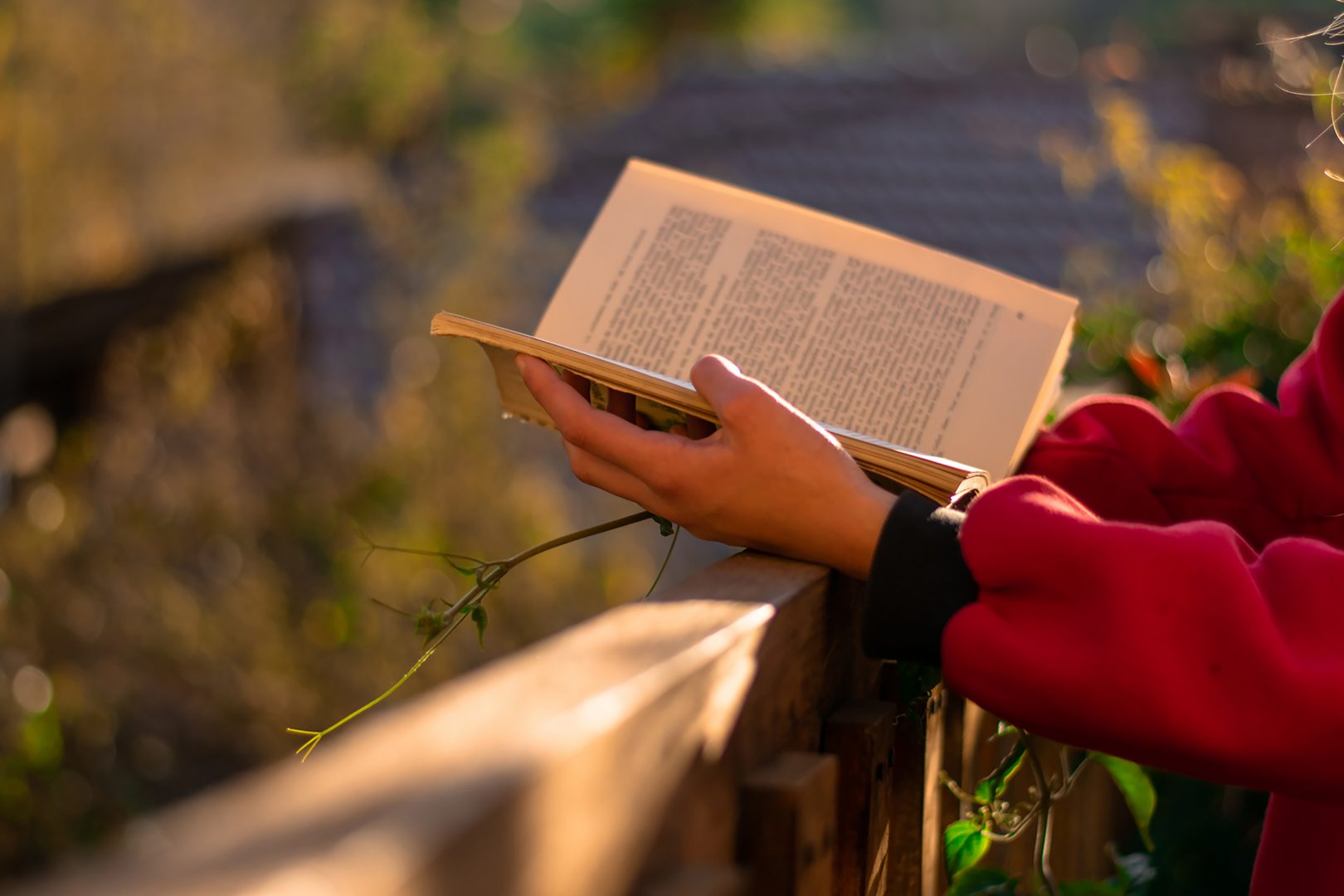 Ganadores de “Un click a la lectura”