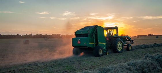 Maestría en Agronegocios