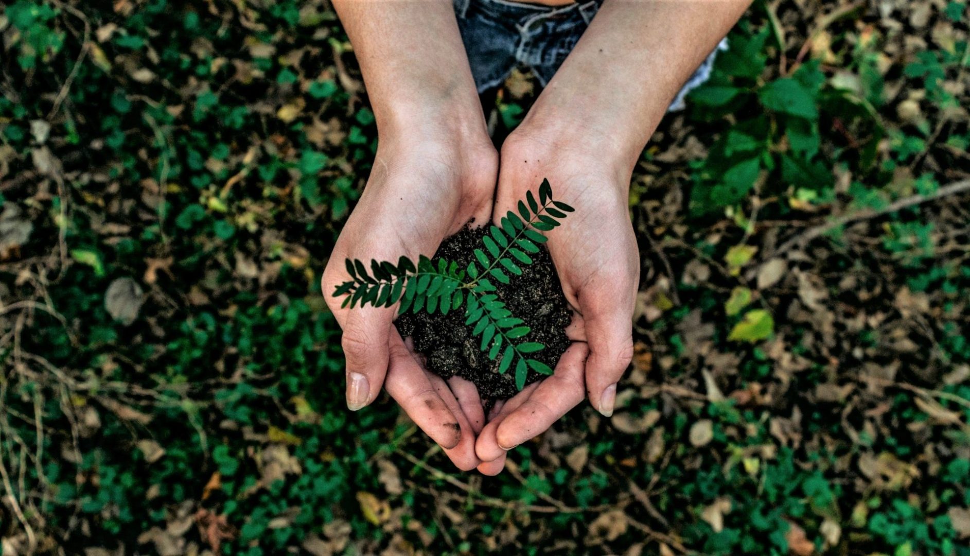 La Licenciatura en Gestión Ambiental cumple 20 años