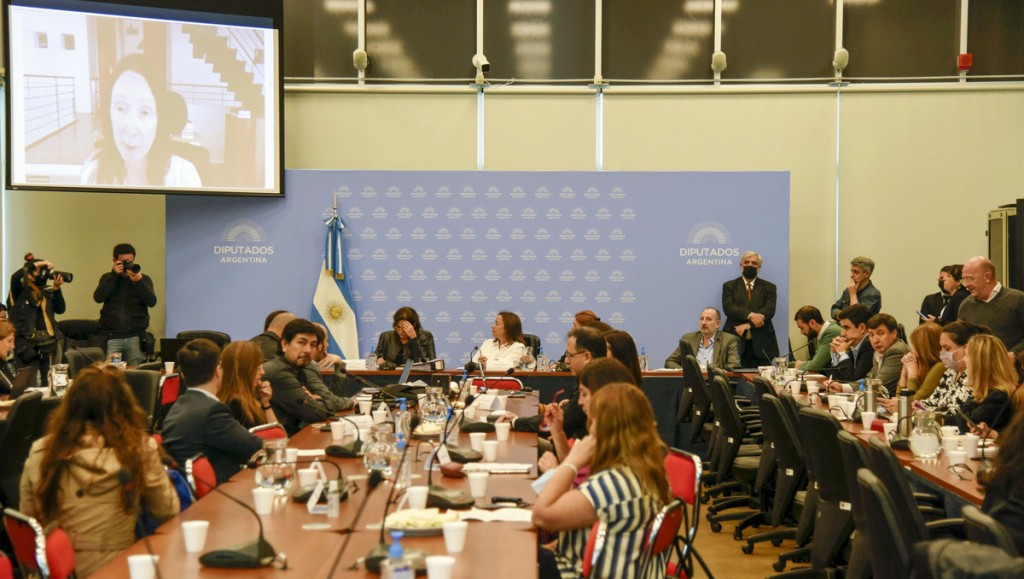 La UBP estuvo presente en la Cámara de Diputados por el debate de la Ley de Alquileres