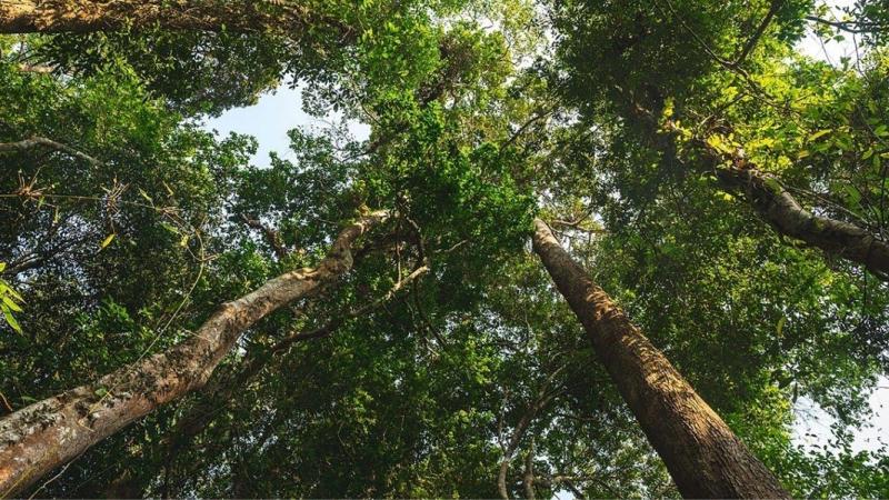 Inicia la convocatoria para un programa de becas de sustentabilidad