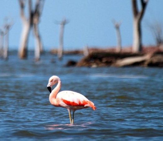 Estudiantes de Turismo viajaron al Parque Nacional de Ansenuza