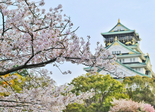 Curso de japones: Inscripciones abiertas para la edición 2024 en la UBP